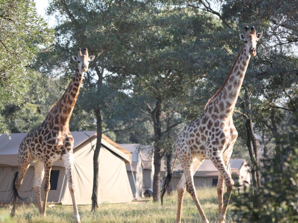 Unyati Safari Lodge Hectorspruit Esterno foto