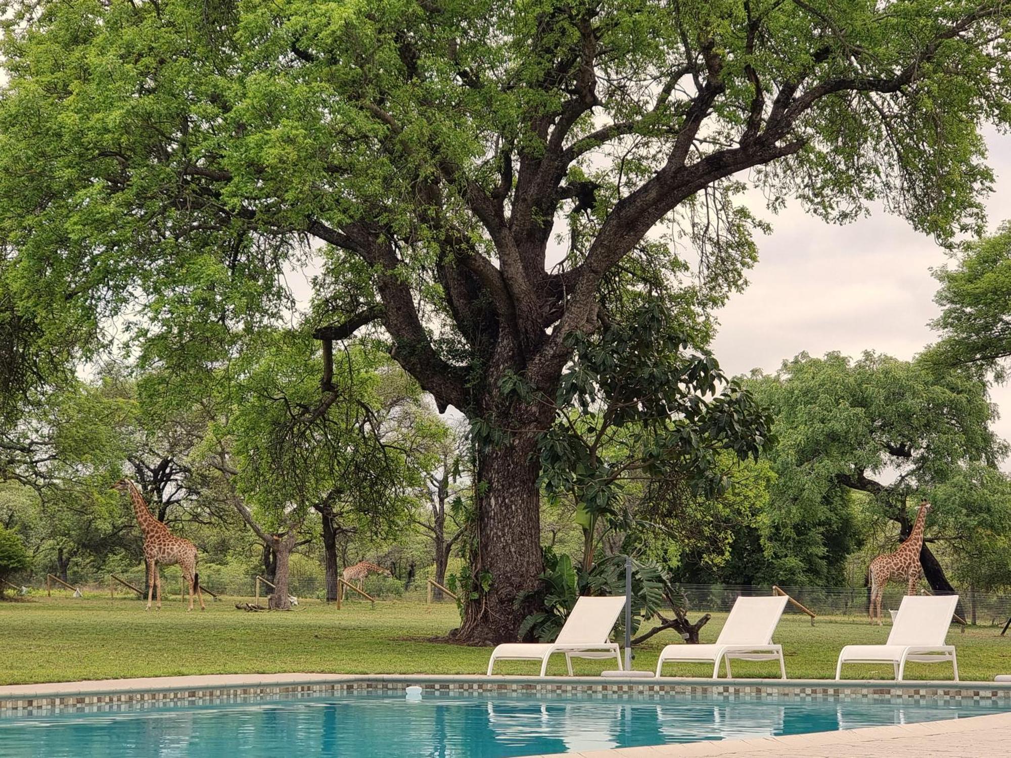 Unyati Safari Lodge Hectorspruit Esterno foto