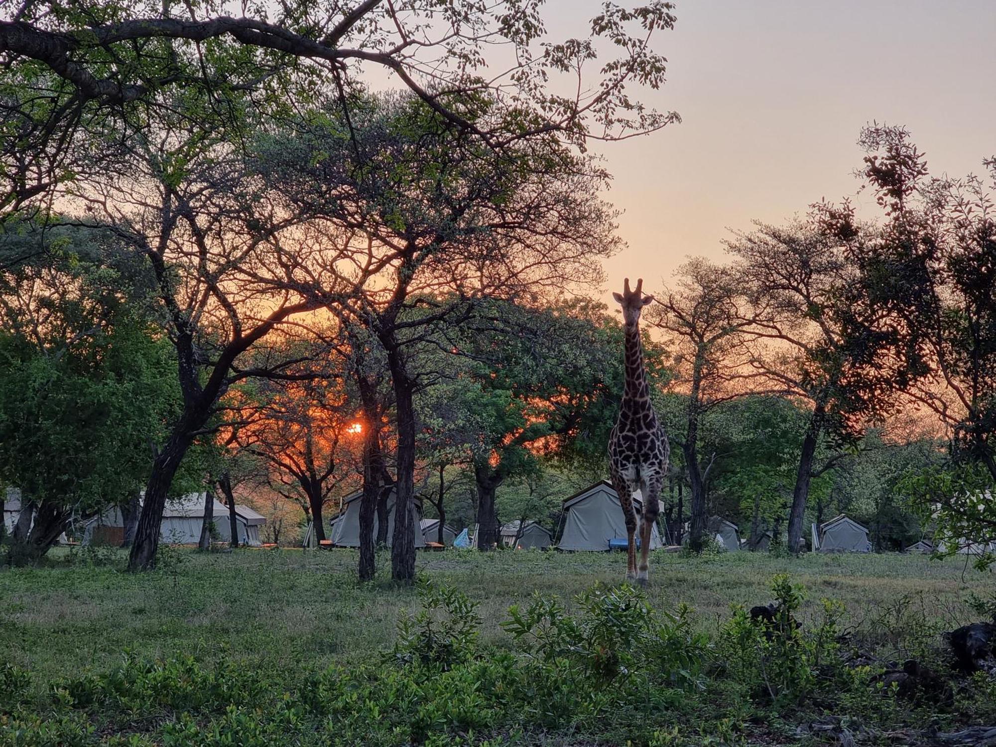 Unyati Safari Lodge Hectorspruit Esterno foto